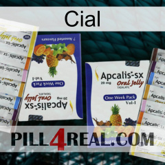 Cial 12
